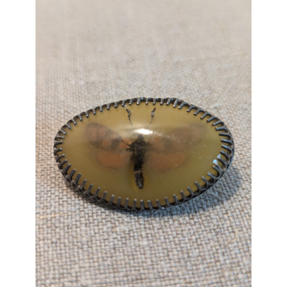 Victorian Embedded Dried Butterfly/Moth Sterling Silver
